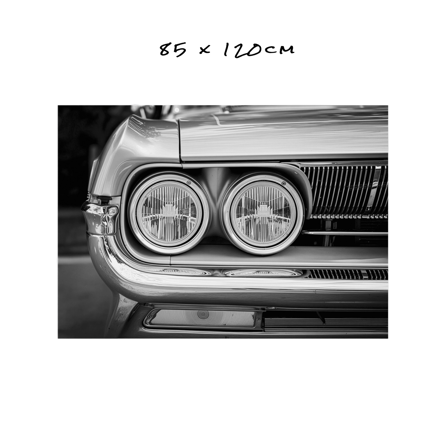 Chrome & Shadows - 5 Sizes