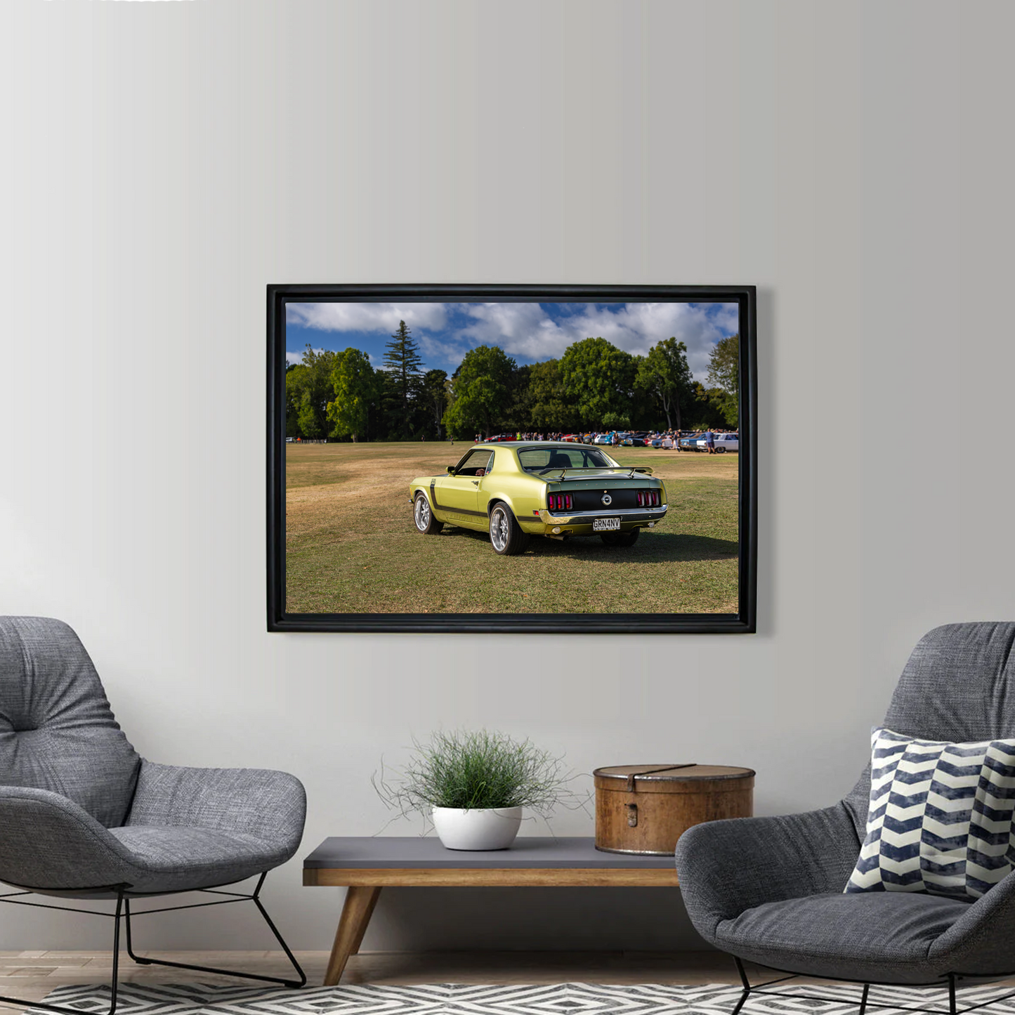 Framed Canvas