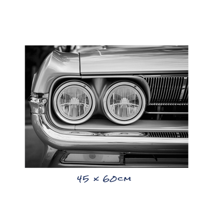 Chrome & Shadows - 5 Sizes