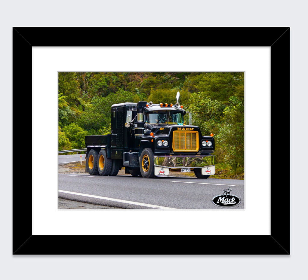 Framed Prints & Posters