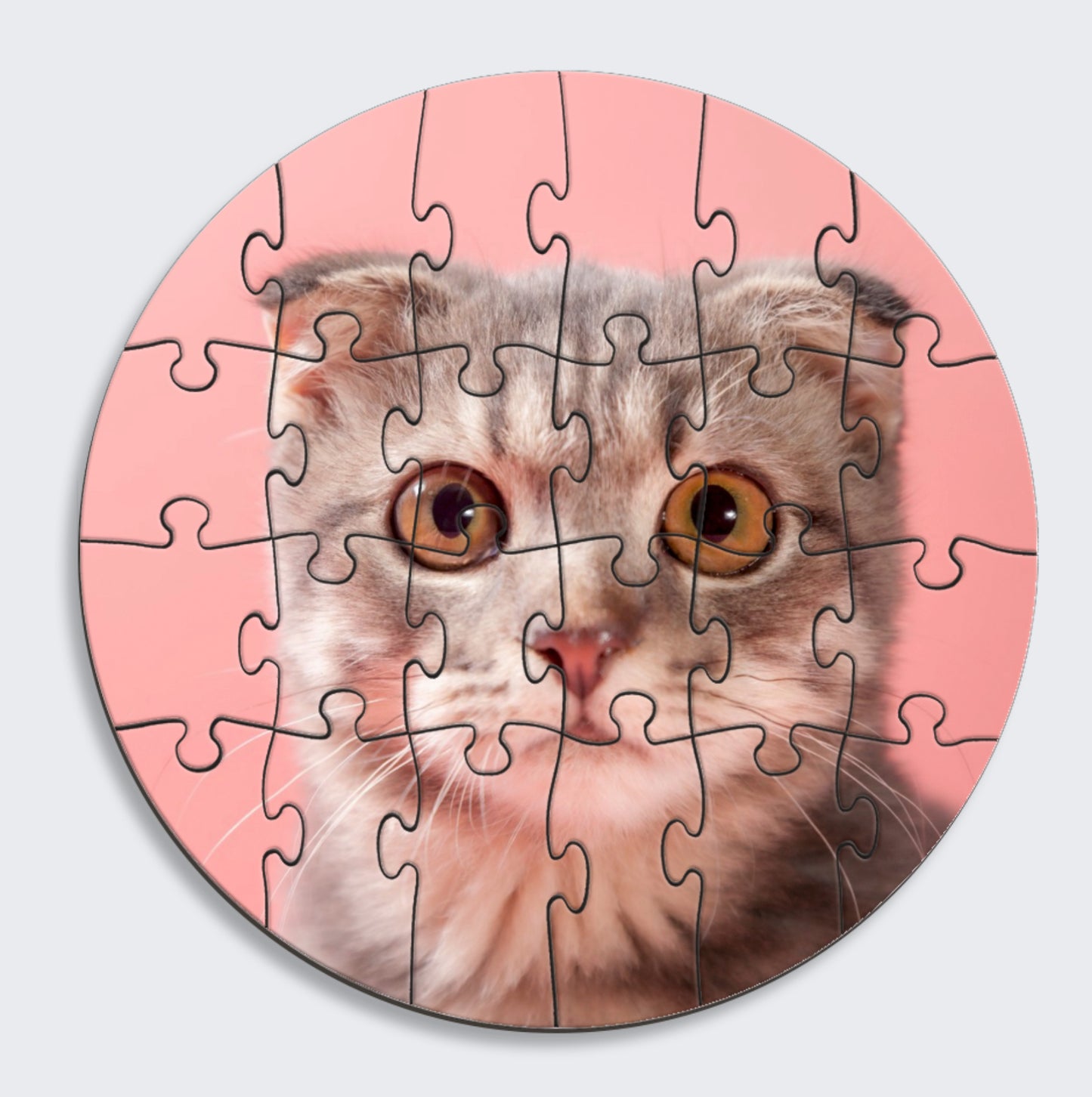 Puzzle's