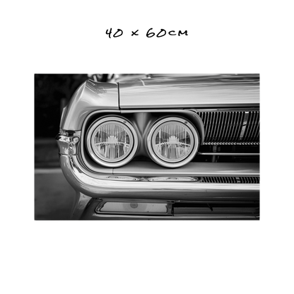 Chrome & Shadows - 5 Sizes