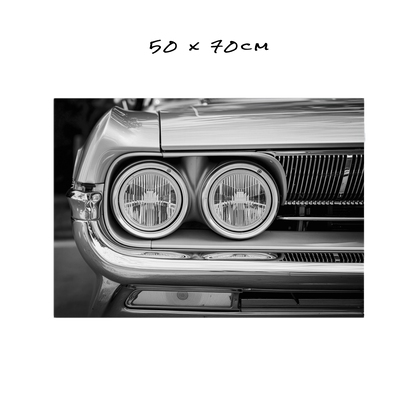 Chrome & Shadows - 5 Sizes