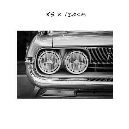 Chrome & Shadows - 5 Sizes