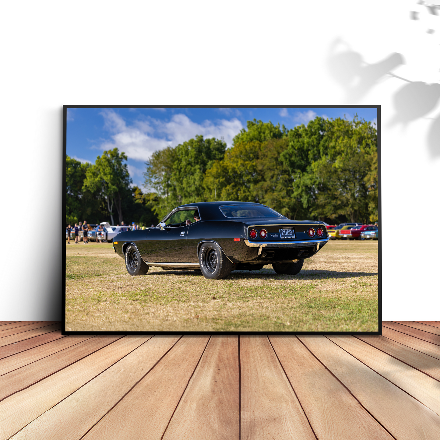 Framed Prints & Posters