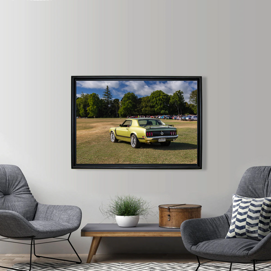 Framed Canvas