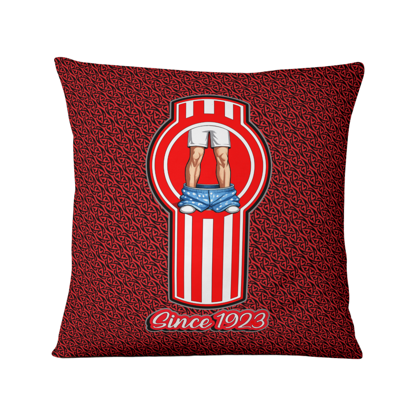 Kenworth – Making Boxers Drop Cushion Cover (Since Ages Ago)