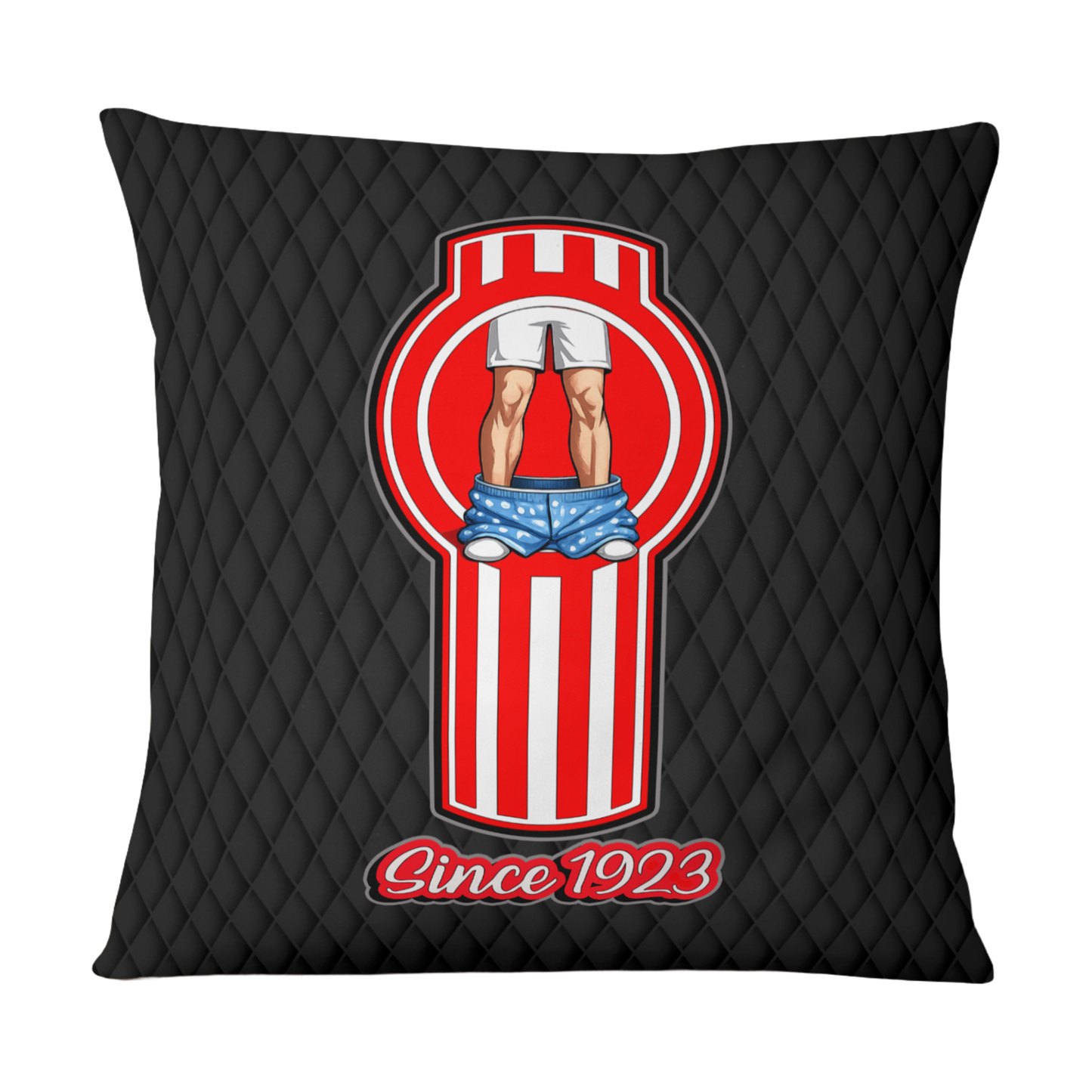 Kenworth – Making Boxers Drop Cushion Cover (Since Ages Ago)