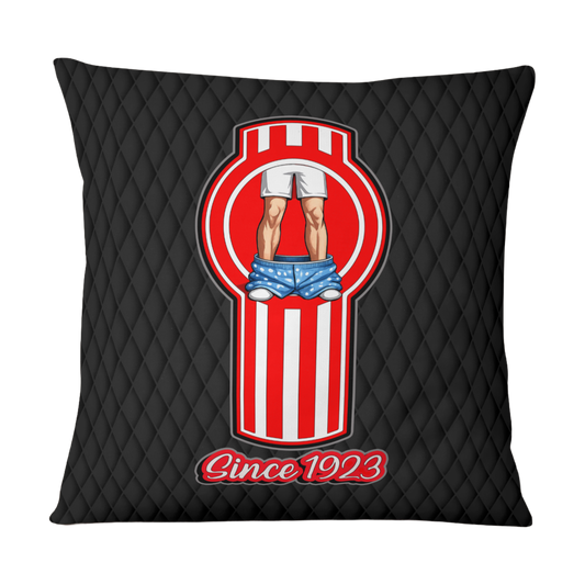 Kenworth – Making Boxers Drop Cushion Cover (Since Ages Ago)